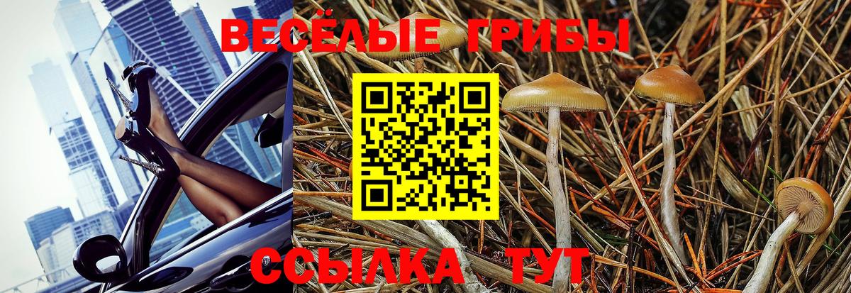 Псилоцибиновые грибы прущие грибы  Вход с VPN  Ирбит 