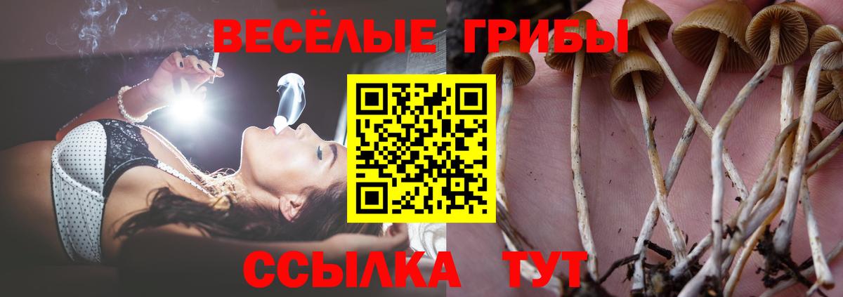 Псилоцибиновые грибы мицелий Ирбит